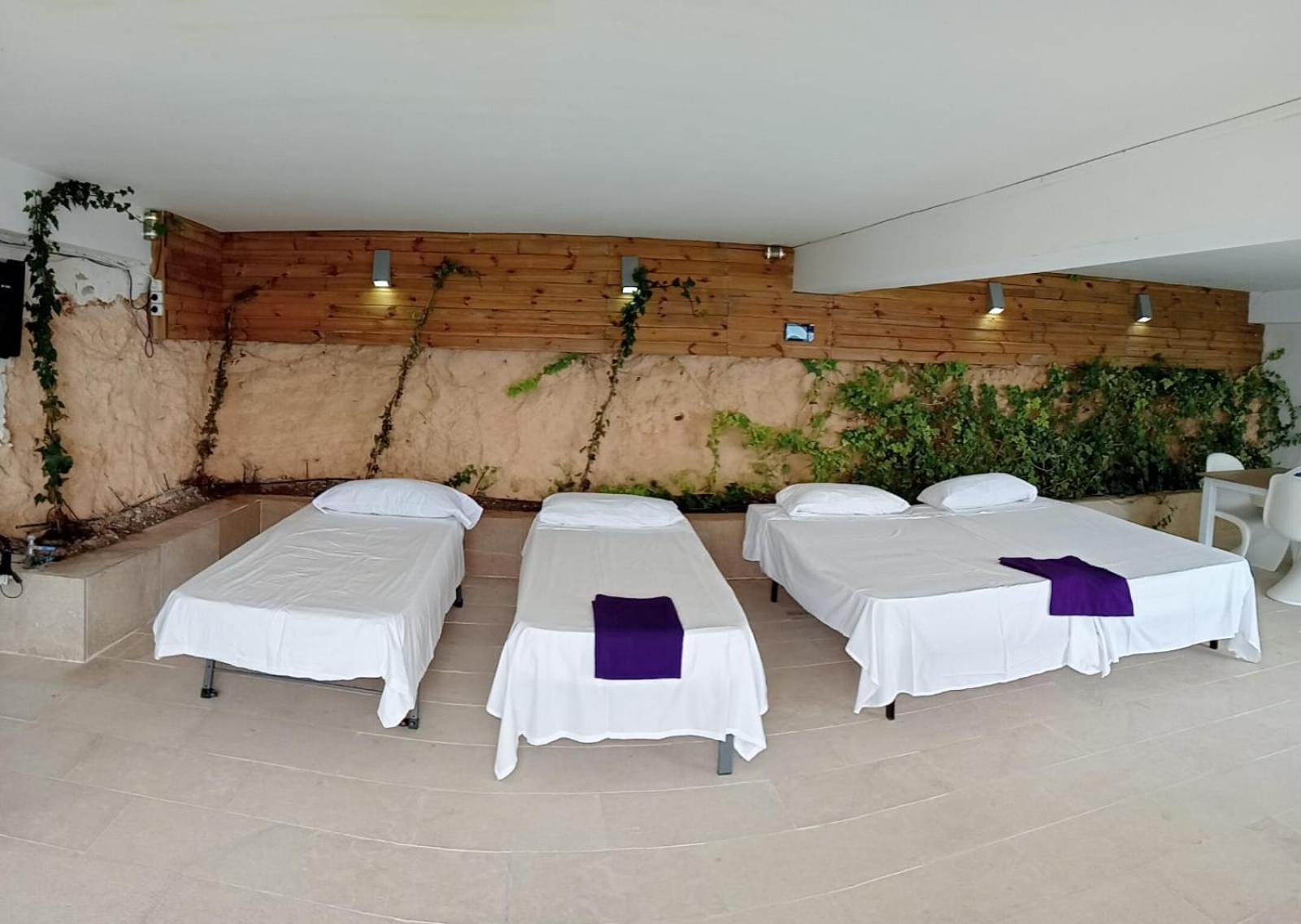 Exclusive Seafront Villa,Private Pool,Gym,Bbq El Toro  Kültér fotó